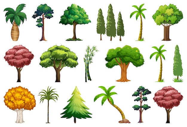 Conjunto de variedad de plantas y árboles.