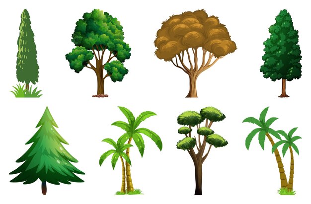 Conjunto de variedad de plantas y árboles.