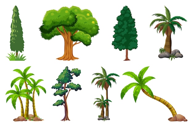 Conjunto de variedad de plantas y árboles.