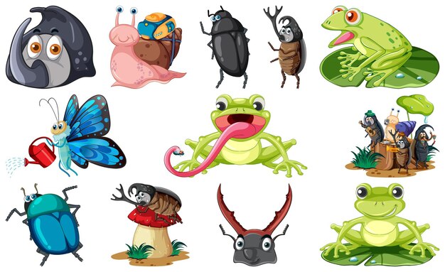 conjunto, de, vario, insectos, y, anfibios, caricatura