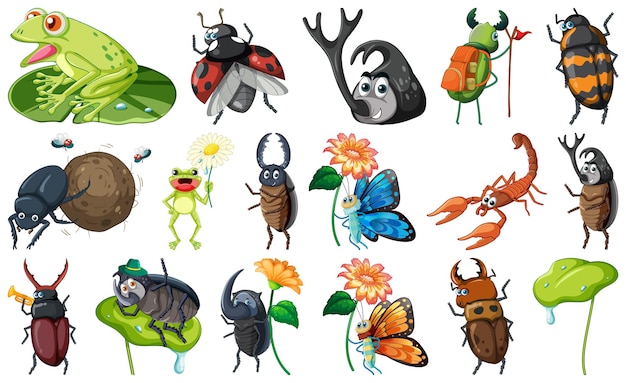 conjunto, de, vario, insectos, y, anfibios, caricatura