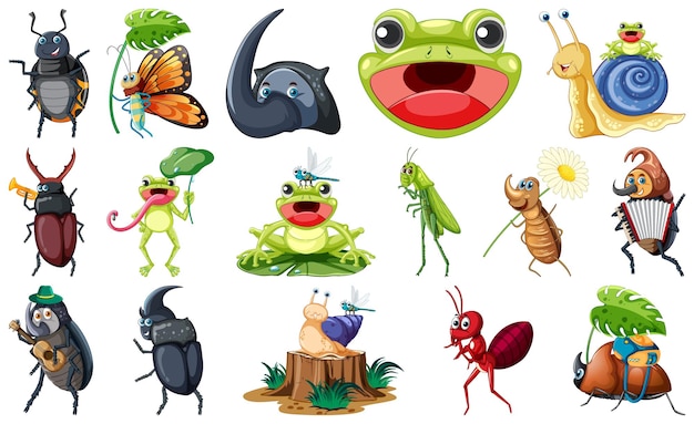 conjunto, de, vario, insectos, y, anfibios, caricatura