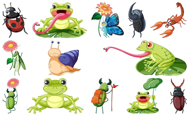 conjunto, de, vario, insectos, y, anfibios, caricatura