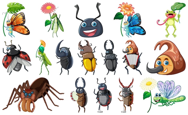 conjunto, de, vario, insectos, y, anfibios, caricatura