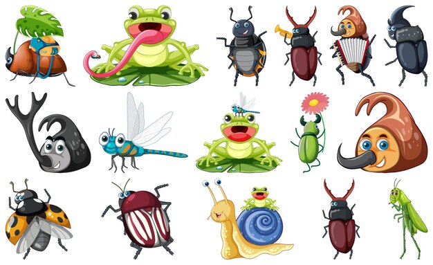 conjunto, de, vario, insectos, y, anfibios, caricatura