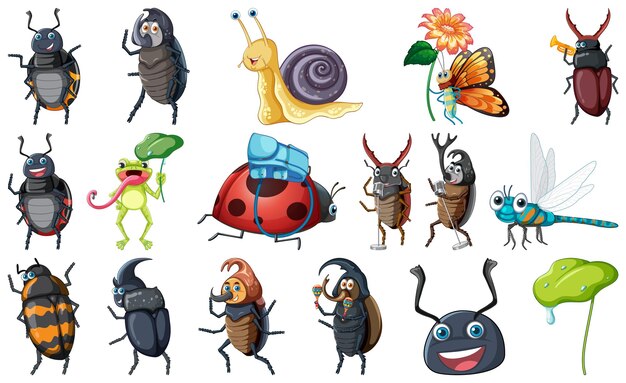 conjunto, de, vario, insectos, y, anfibios, caricatura