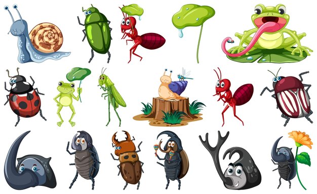 conjunto, de, vario, insectos, y, anfibios, caricatura