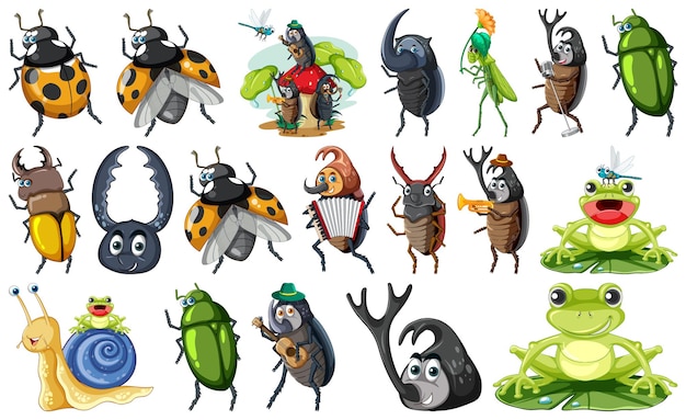 conjunto, de, vario, insectos, y, anfibios, caricatura