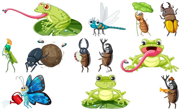 conjunto, de, vario, insectos, y, anfibios, caricatura