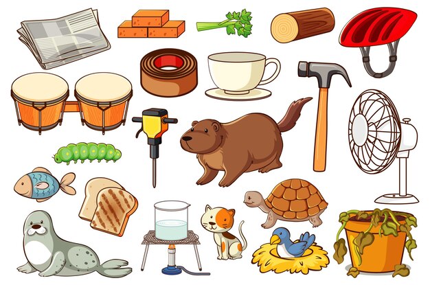 Conjunto de varios animales y objetos.