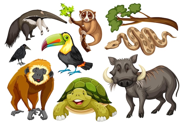 Conjunto de varios animales salvajes sobre fondo blanco.