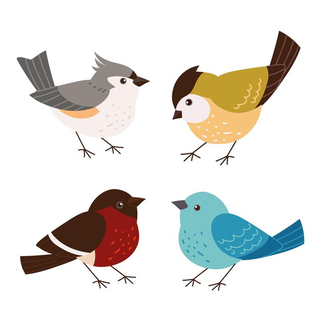 conjunto de varios pájaros lindos