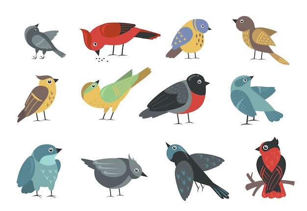 Vector gratuito conjunto de varios pájaros pequeños coloridos