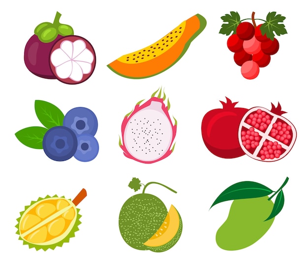 Conjunto de varios vectores de estilo de dibujos animados de dibujo de fruta fresca