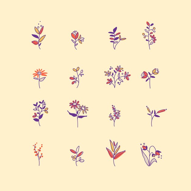Conjunto de vector de elementos botánicos dibujados a mano
