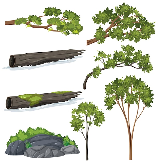 Vector gratuito conjunto de vectores de árboles diversos