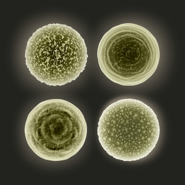 Conjunto de vectores de bacterias cocos verdes sucias abstractas aisladas sobre fondo oscuro