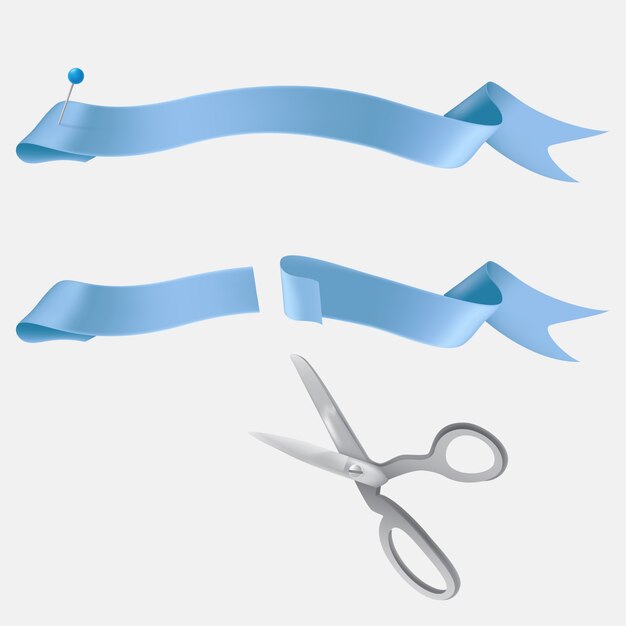Conjunto de vectores de cintas de raso