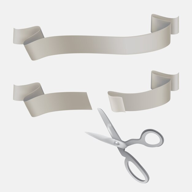 Conjunto de vectores de cintas de raso