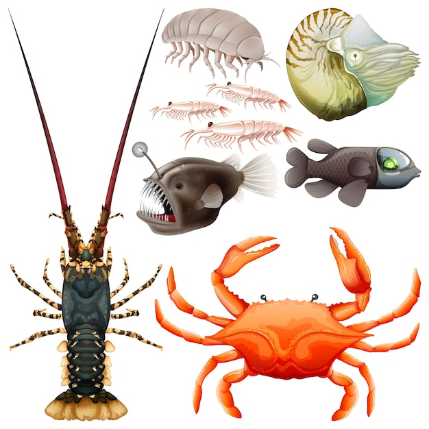 Conjunto de vectores de criaturas submarinas