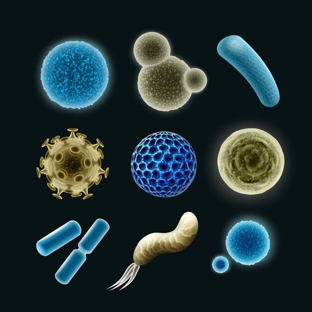 Conjunto de vectores de diferentes bacterias y células de virus cocos, espirillas, bacilos, diplobacilos aislados sobre fondo oscuro