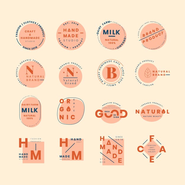Conjunto de vectores de diseño insignia insignia