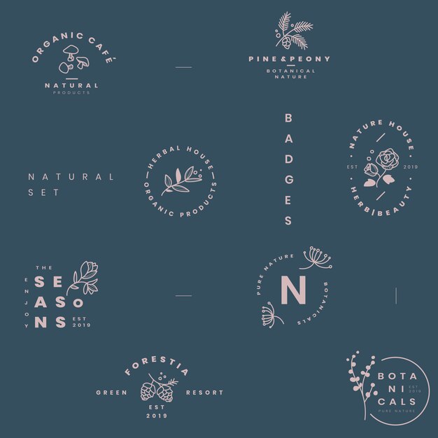 Conjunto de vectores de diseño de logotipo botánico