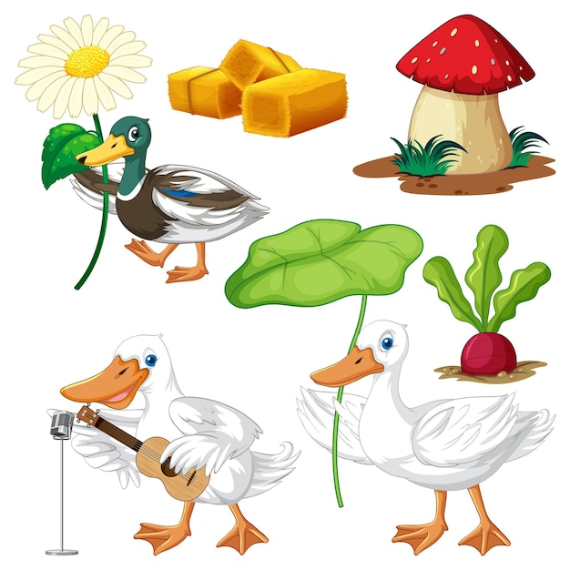 Conjunto de vectores de elementos y objetos agrícolas