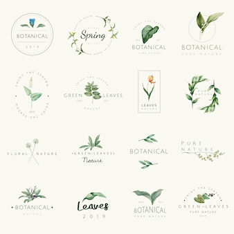 Conjunto de vectores de naturaleza y planta logo.