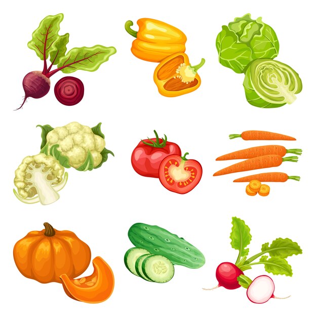 Conjunto de verduras orgánicas de dibujos animados