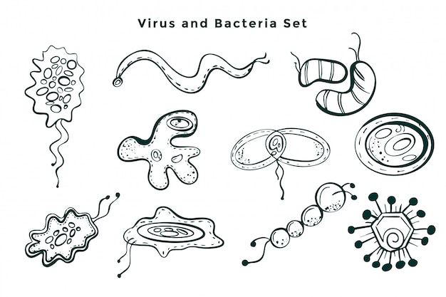 Vector gratuito conjunto de virus y gérmenes de bacterias dibujados a mano