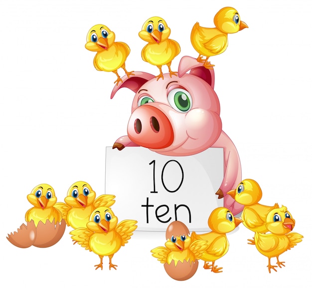 Contando el número diez con cerdo y pollitos