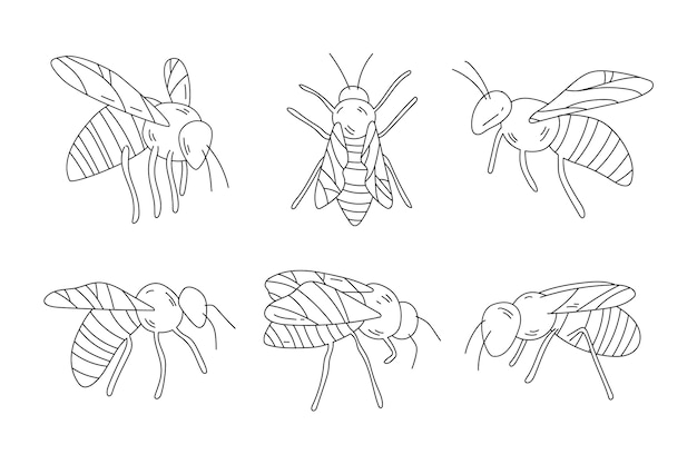 Contorno de abeja dibujado a mano