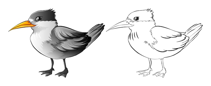 Vector gratuito contorno animal para aves silvestres.