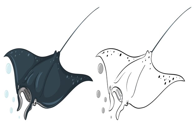Contorno animal para mantarraya