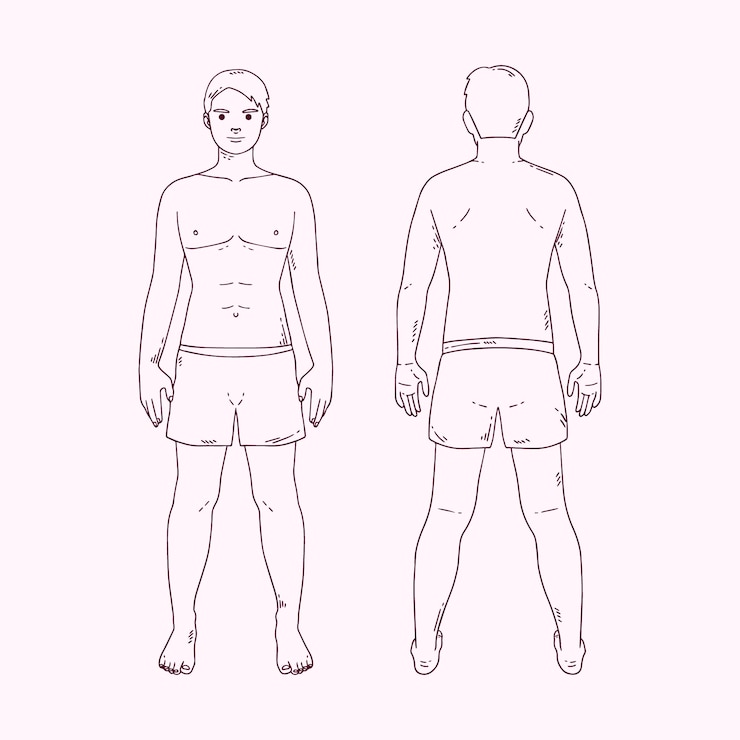 Vector gratuito contorno del cuerpo humano dibujado a mano