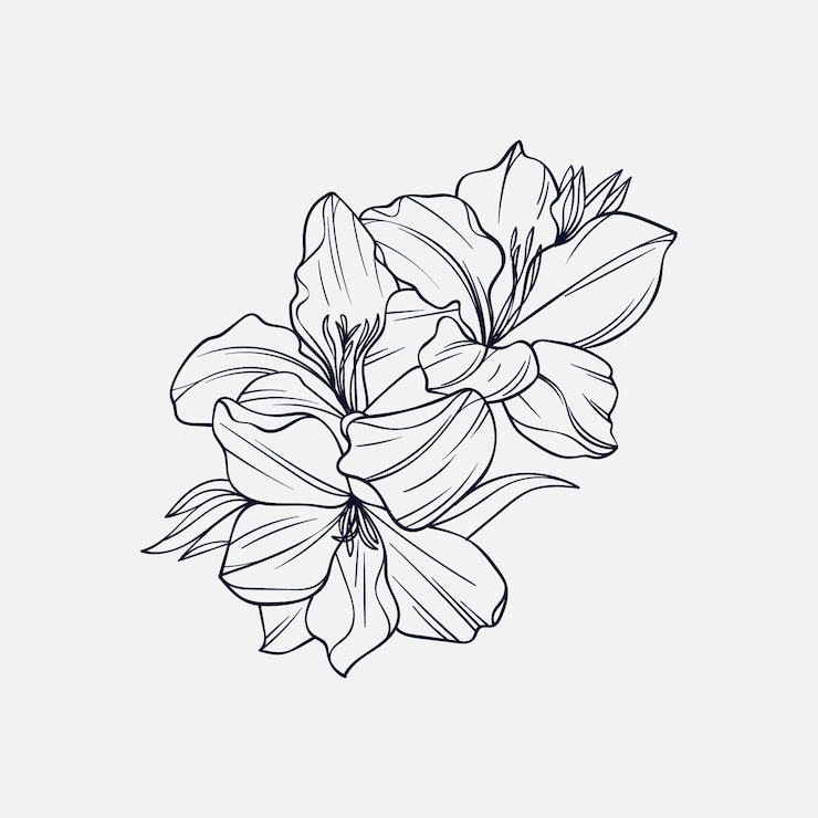Vector gratuito contorno de flor simple dibujado a mano