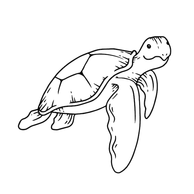 Contorno de tortuga dibujado a mano