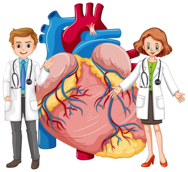 Corazón humano con personaje de dibujos animados de dos médicos