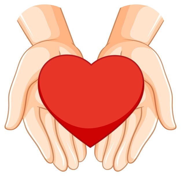 Corazón en manos humanas