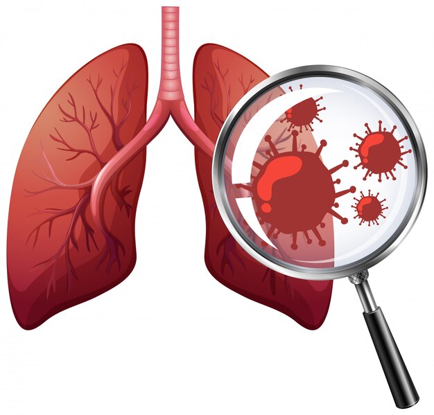 Coronavirus y pulmones humanos sobre fondo blanco.