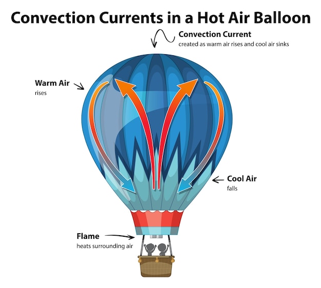 Vector gratuito corrientes de convección en diagrama de globo de aire caliente