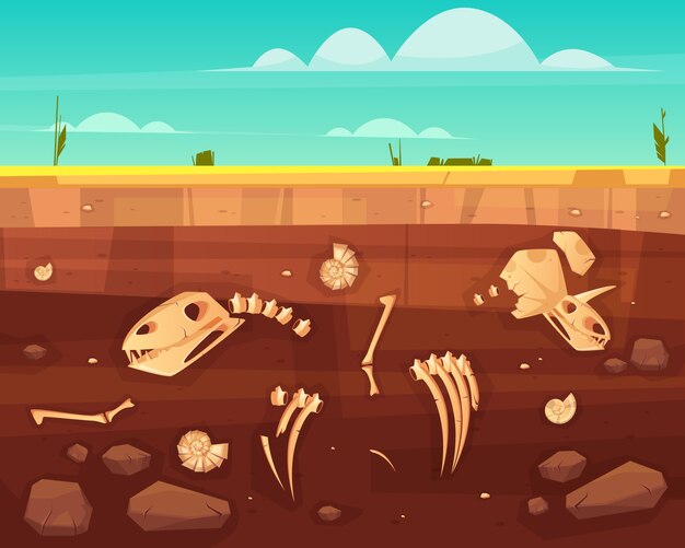 Cráneos de dinosaurios, huesos de esqueleto de reptil, conchas de moluscos marinos antiguos en capas profundas del suelo, sección transversal, ilustración vectorial de dibujos animados. Historia de la vida en el concepto de la tierra. Fondo de la ciencia paleontológica