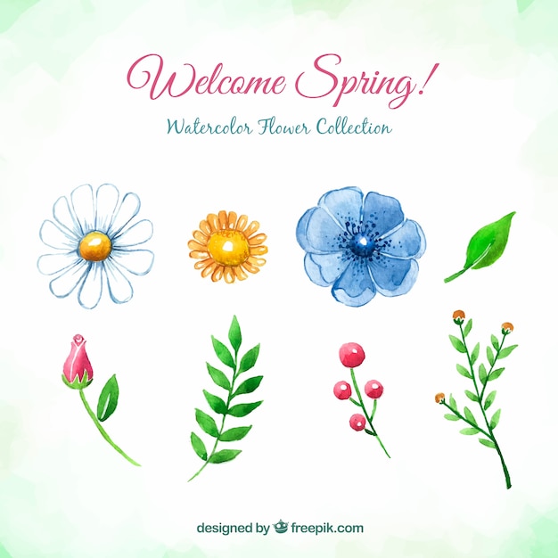 Vector gratuito creativa colección de flores de primavera de acuarela