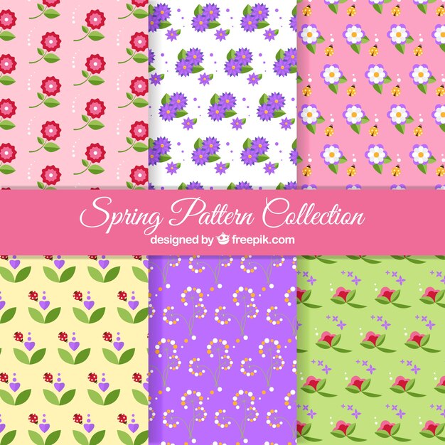 Creativa colección de seis patrones de primavera