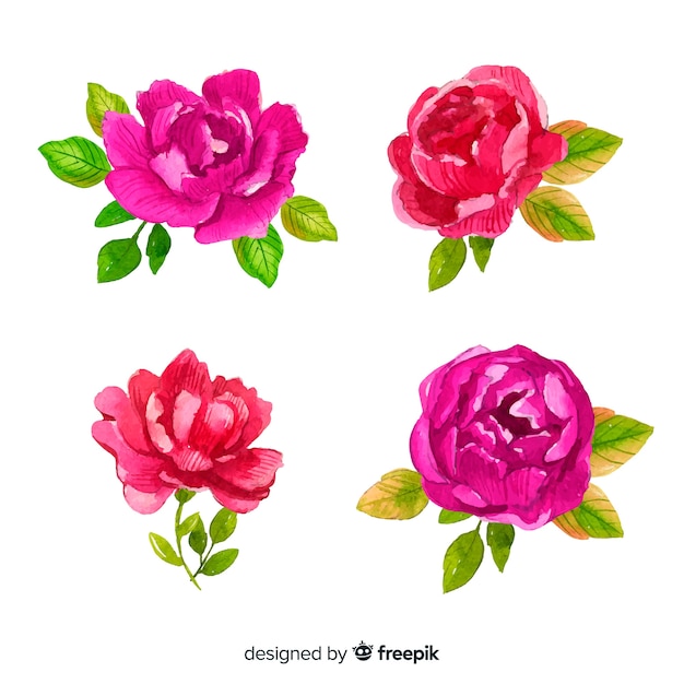 Vector gratuito creativo conjunto de flores peonía