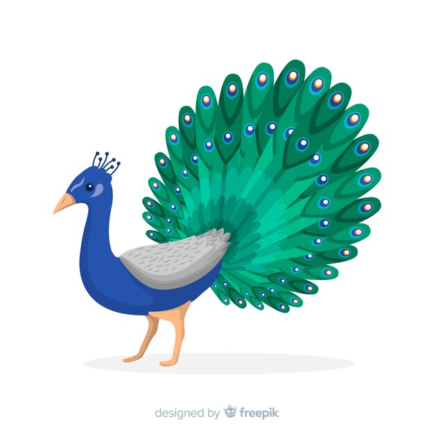 Creativo diseño de pavo real
