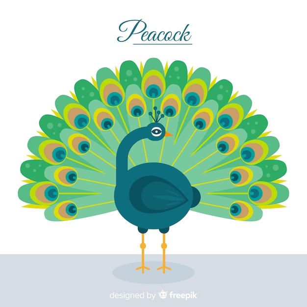 Vector gratuito creativo diseño de pavo real