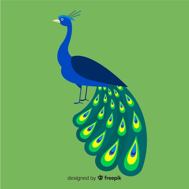 Vector gratuito creativo diseño de pavo real