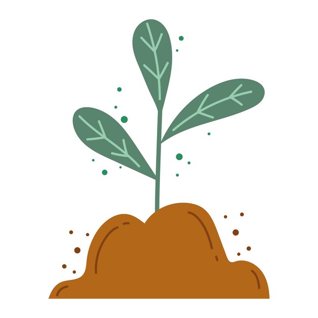 Crecimiento de plantas en la naturaleza crecimiento y desarrollo icono aislado